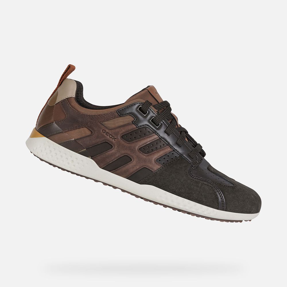 Geox Sneakers Dark Brown Snake.2 - Geox Mens Shoes - QFXZTB785